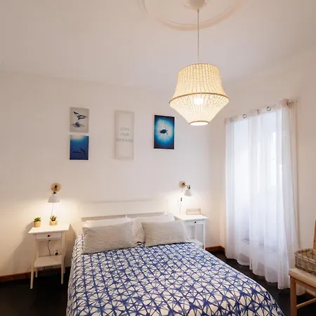 Cozy House